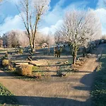 Im Seepanorama Διαμέρισμα 3*